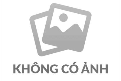 Quyết định về việc phân công nhiệm vụ năm học 2024-2025